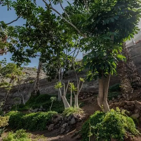 The Large Terrace, Fantastic View On Gigantes * Puerto de Santiago (Tenerife)